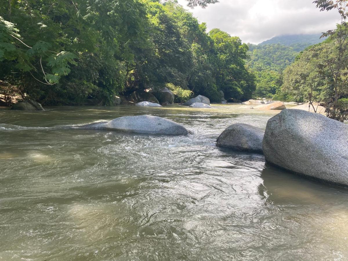 Wayanay Tayrona Eco Hostel El Zaino Dış mekan fotoğraf