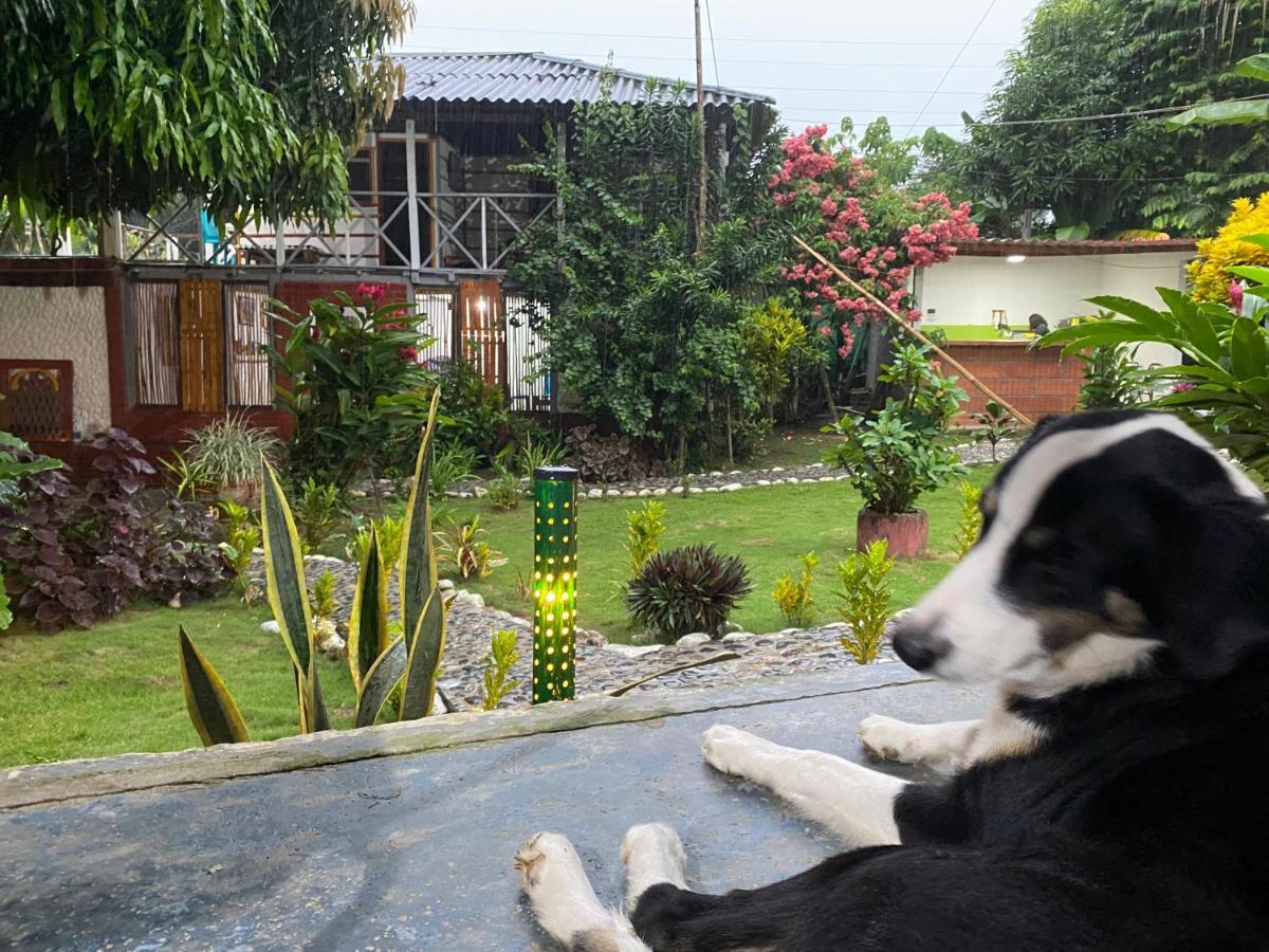 Wayanay Tayrona Eco Hostel El Zaino Dış mekan fotoğraf