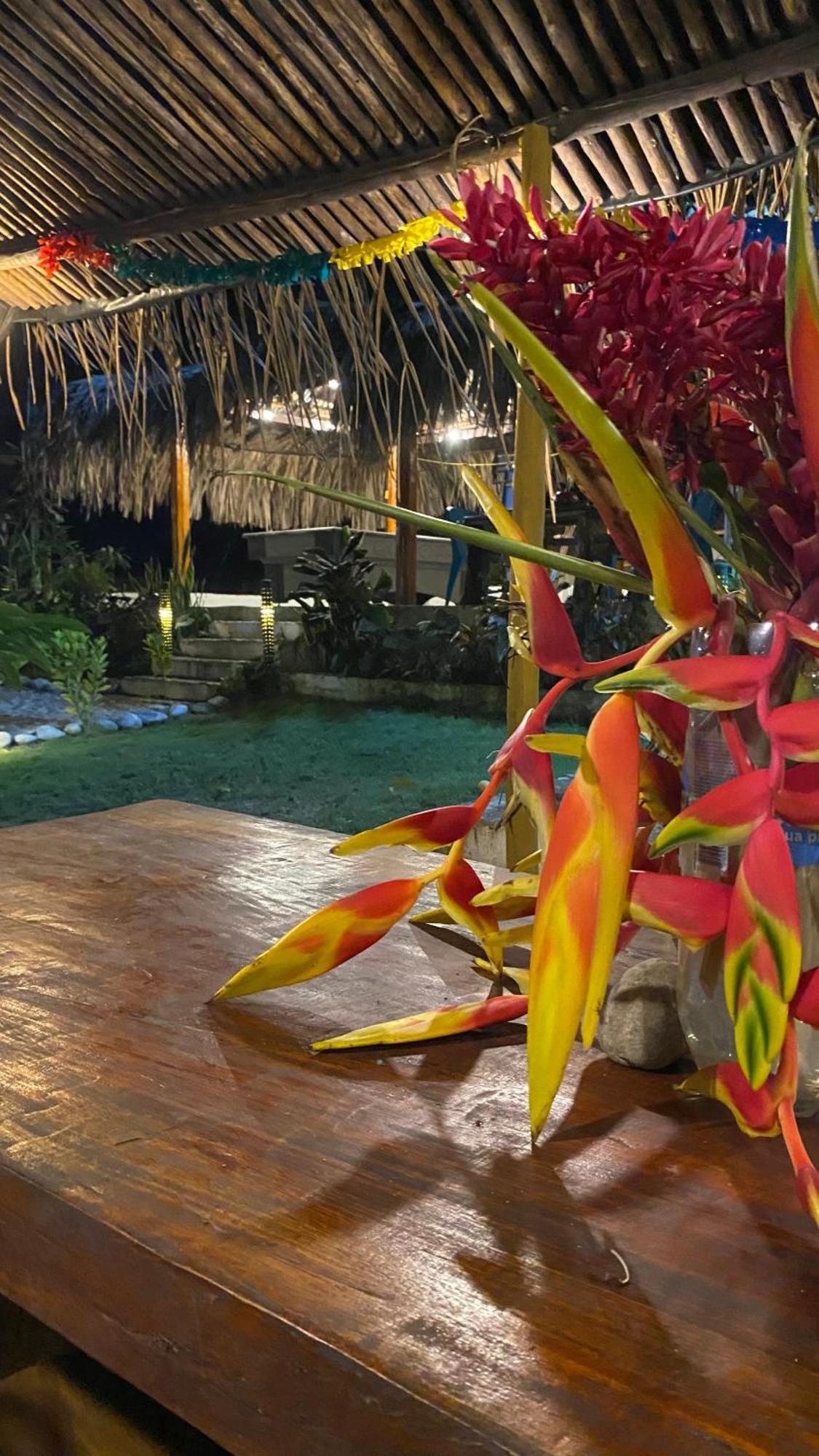 Wayanay Tayrona Eco Hostel El Zaino Dış mekan fotoğraf