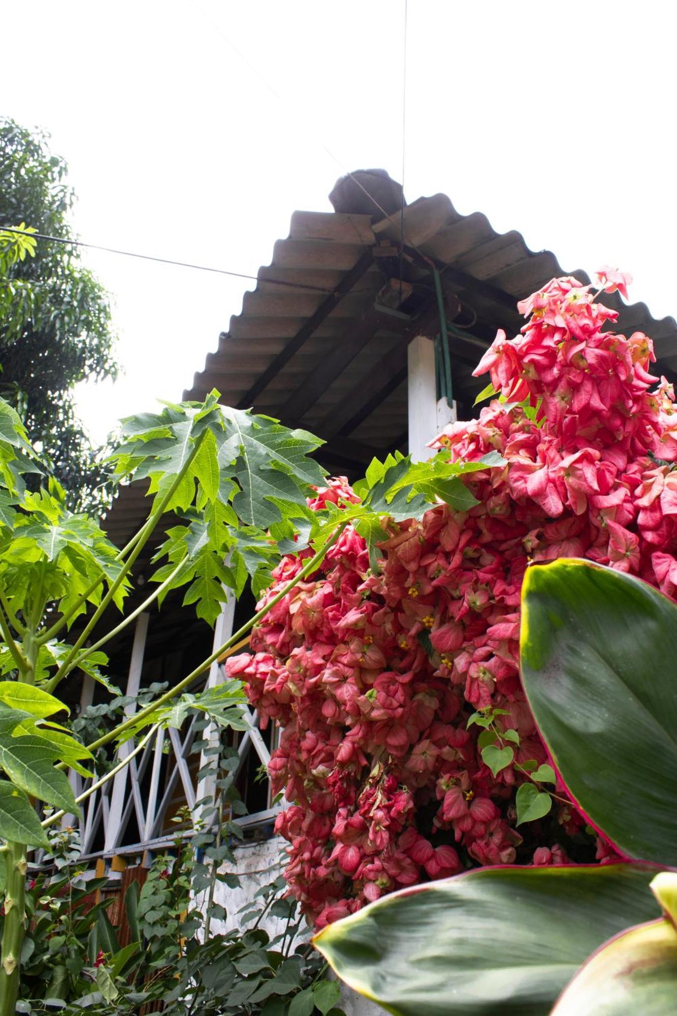Wayanay Tayrona Eco Hostel El Zaino Dış mekan fotoğraf