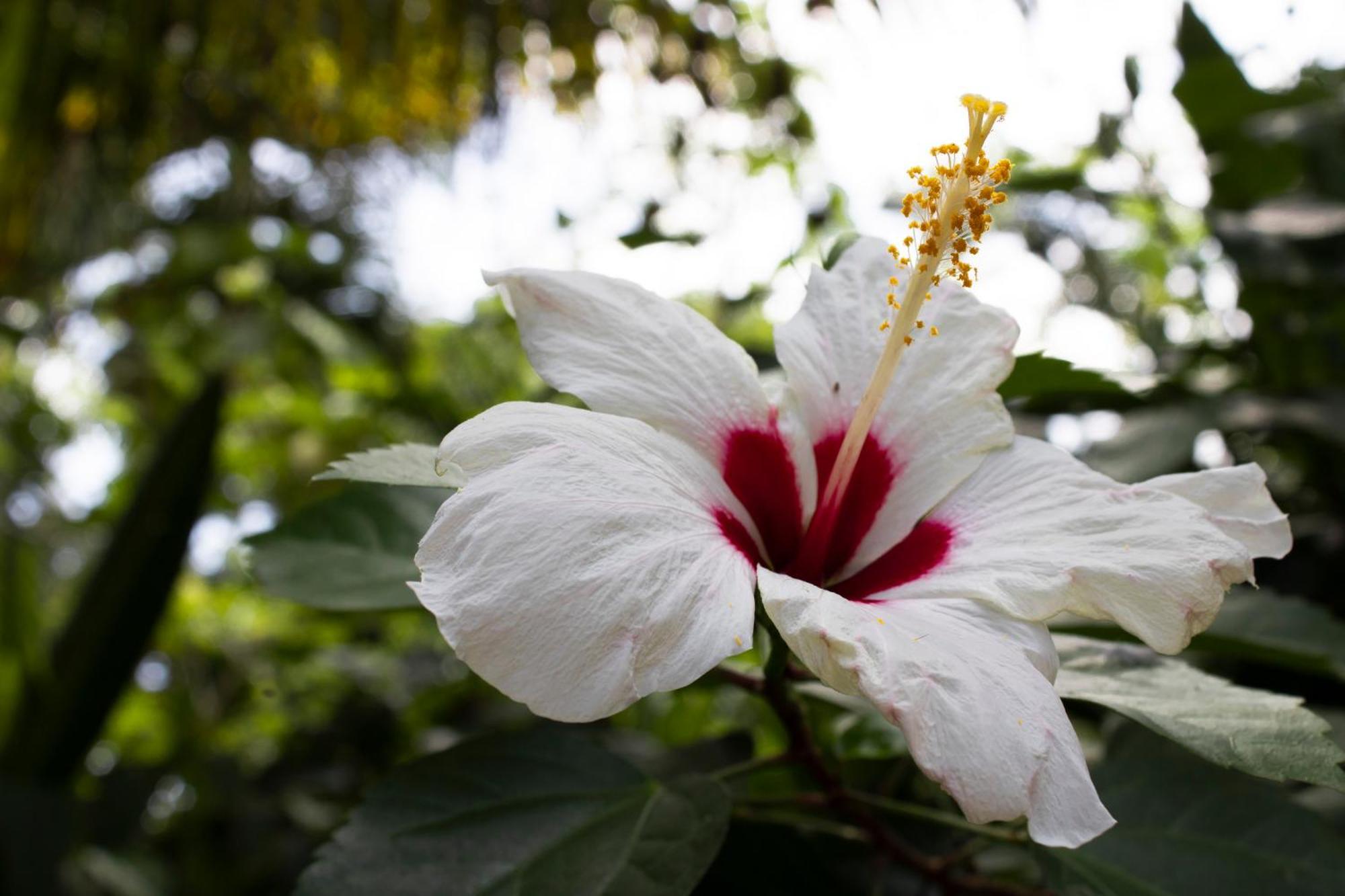 Wayanay Tayrona Eco Hostel El Zaino Dış mekan fotoğraf