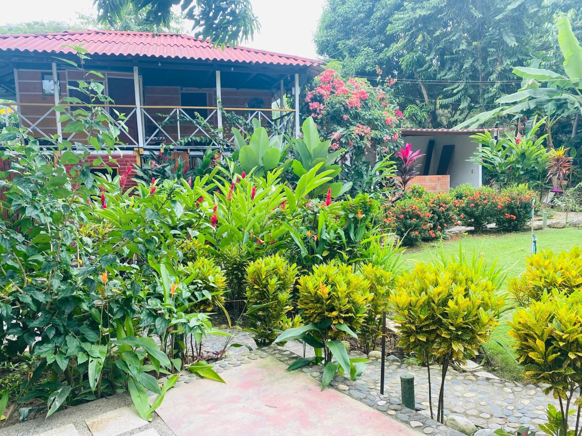 Wayanay Tayrona Eco Hostel El Zaino Dış mekan fotoğraf