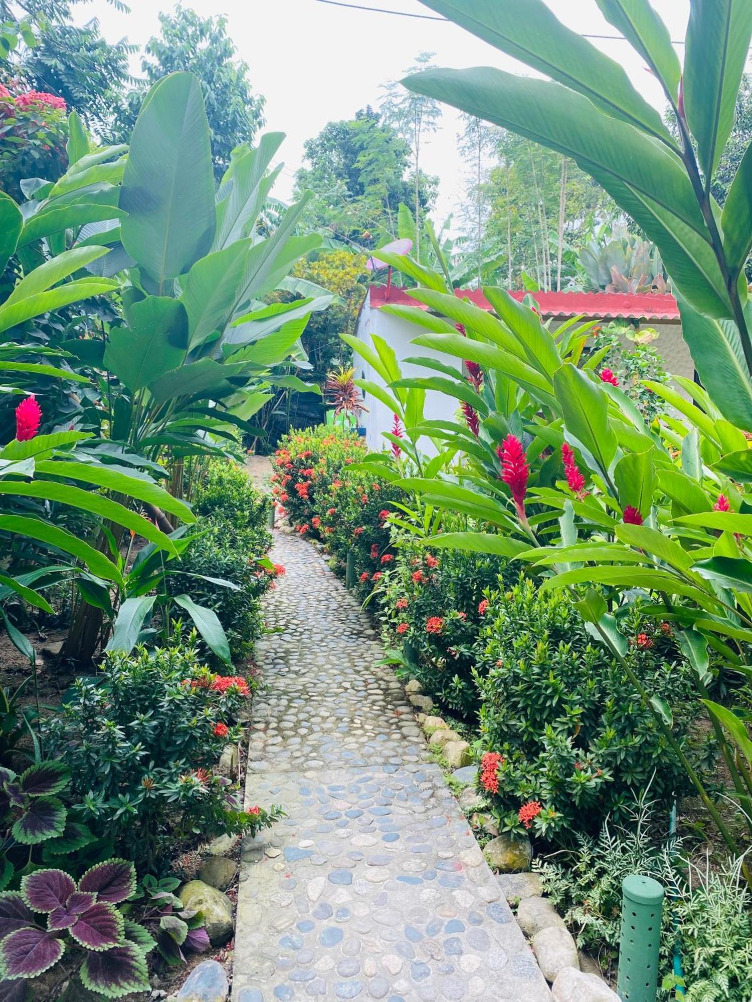 Wayanay Tayrona Eco Hostel El Zaino Dış mekan fotoğraf