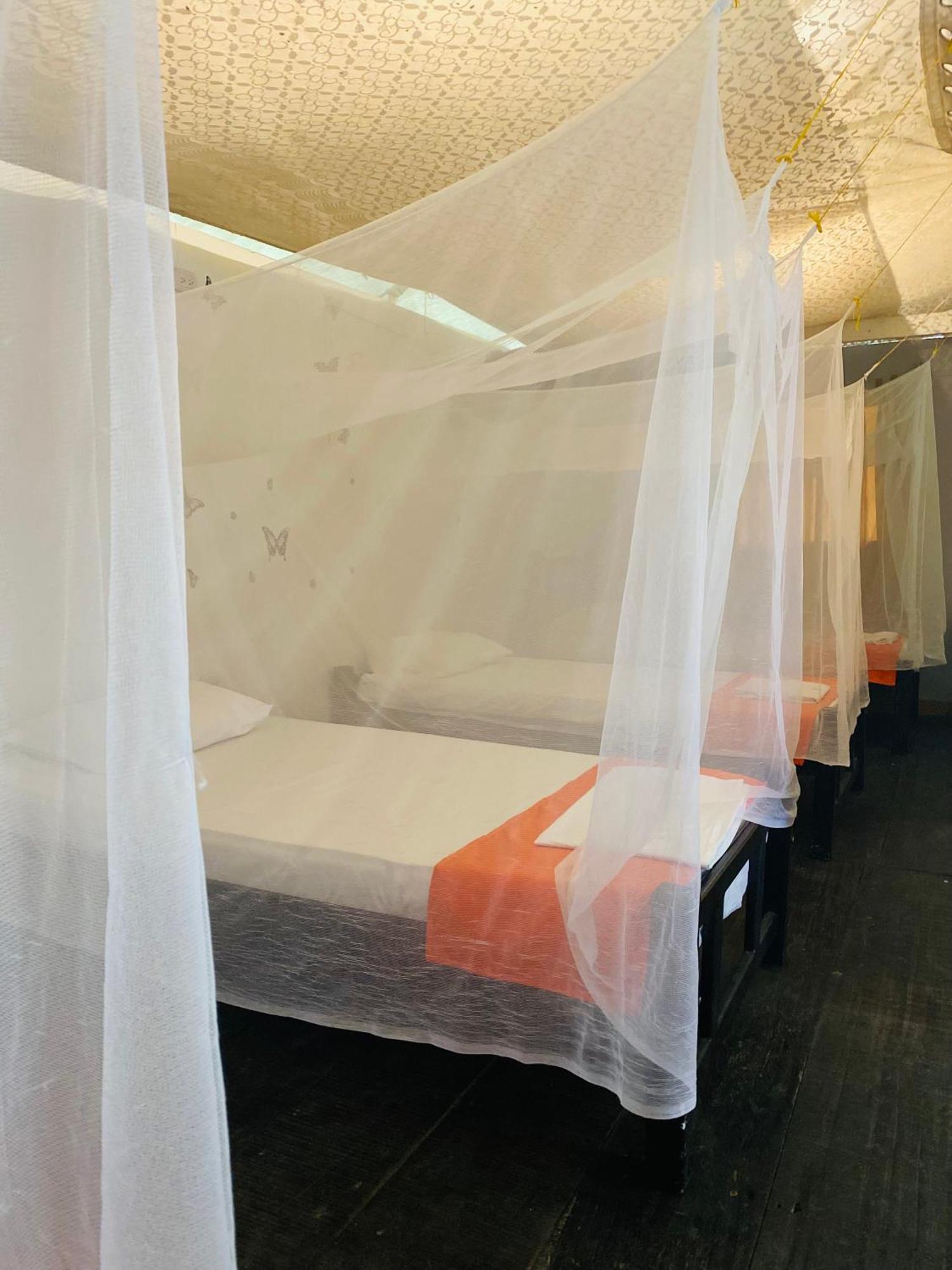 Wayanay Tayrona Eco Hostel El Zaino Dış mekan fotoğraf